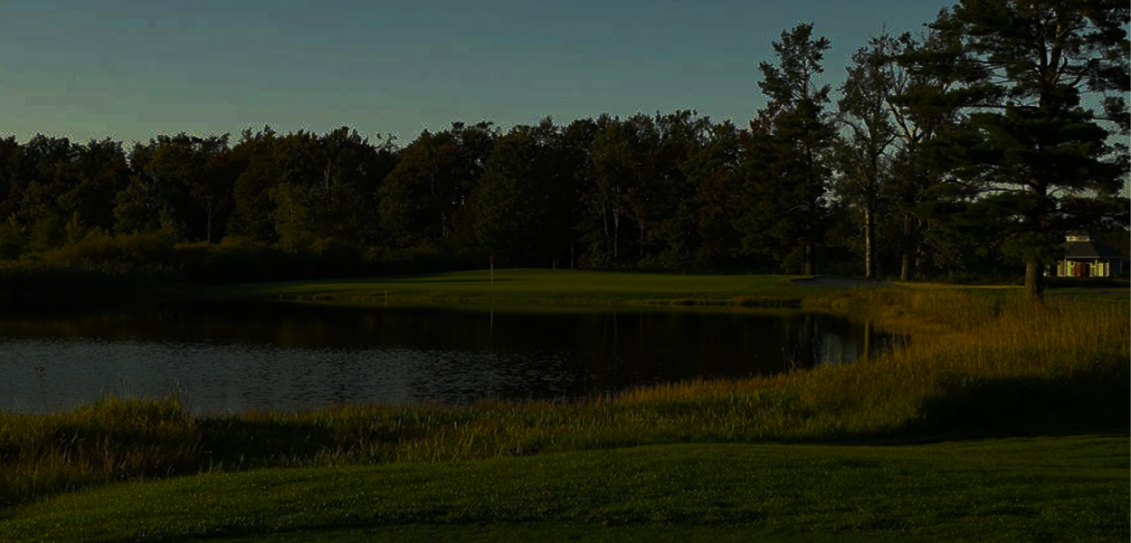 A scenic view of a lake with a forest backdrop